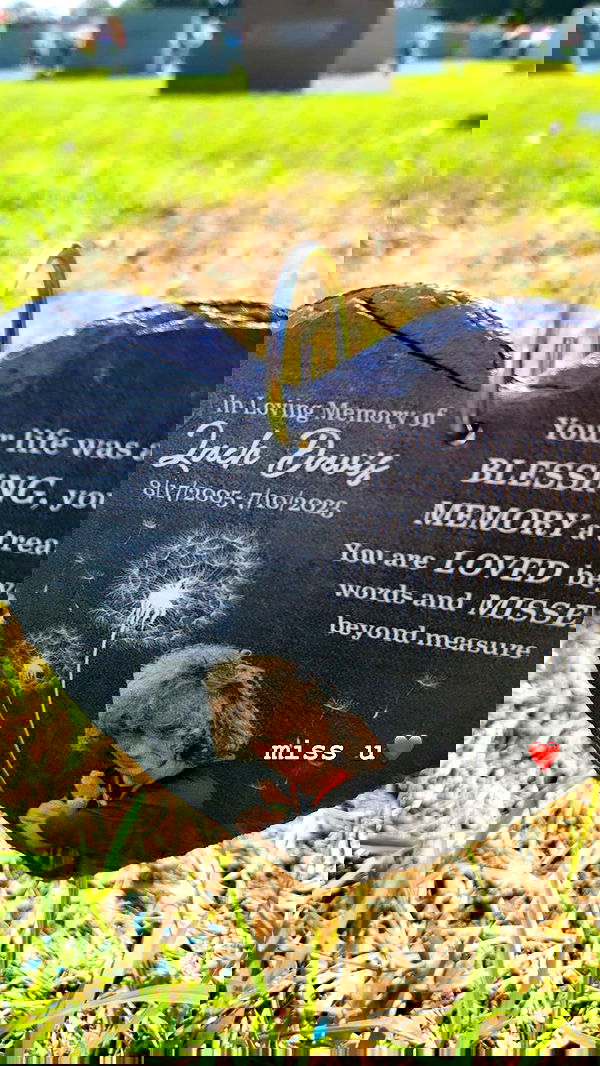 zommmbri image ~ Altpins