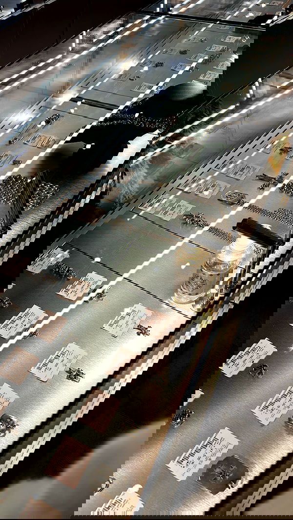 zommmbri image ~ Altpins