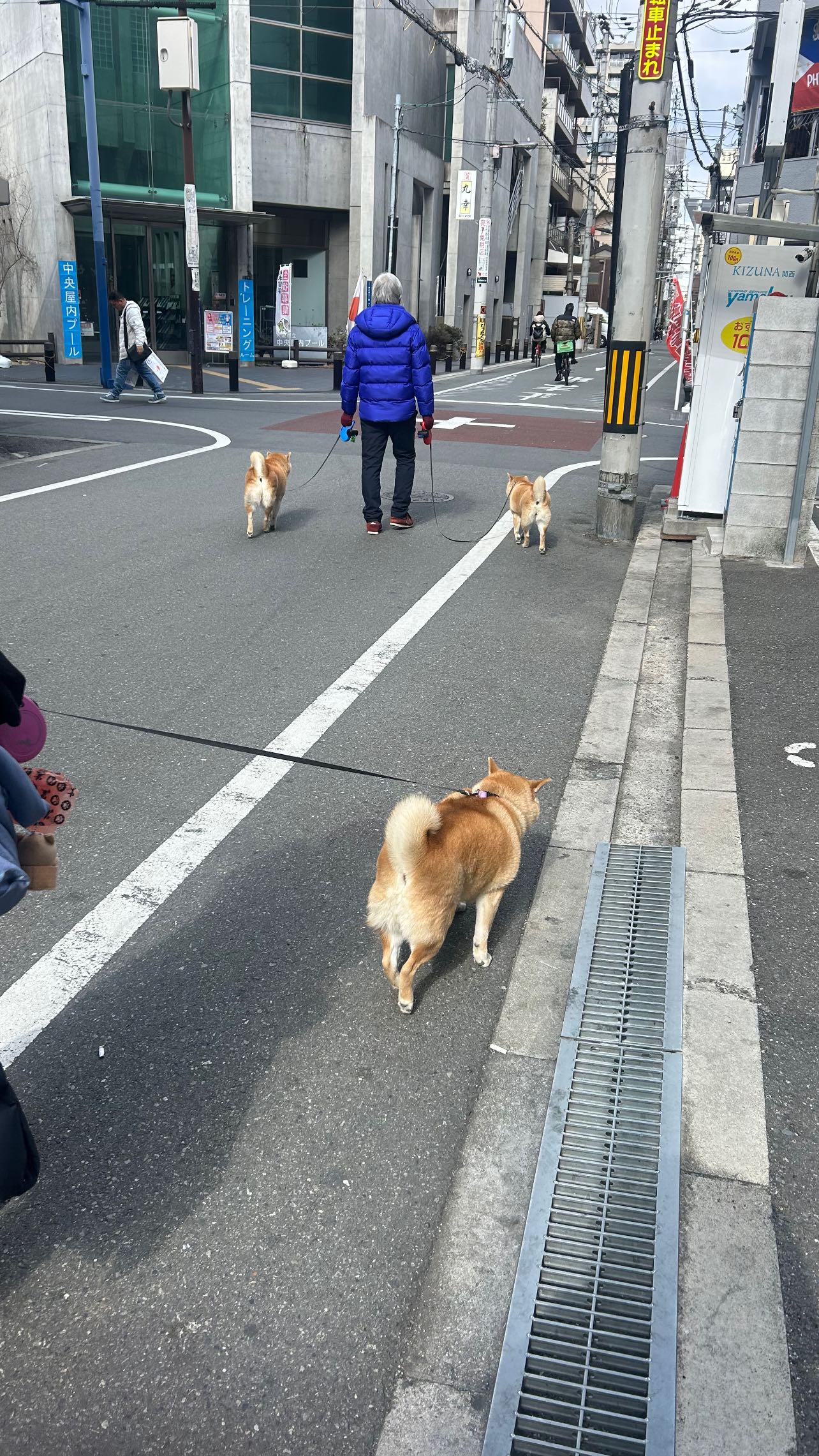 zommmbri instagram image archive image