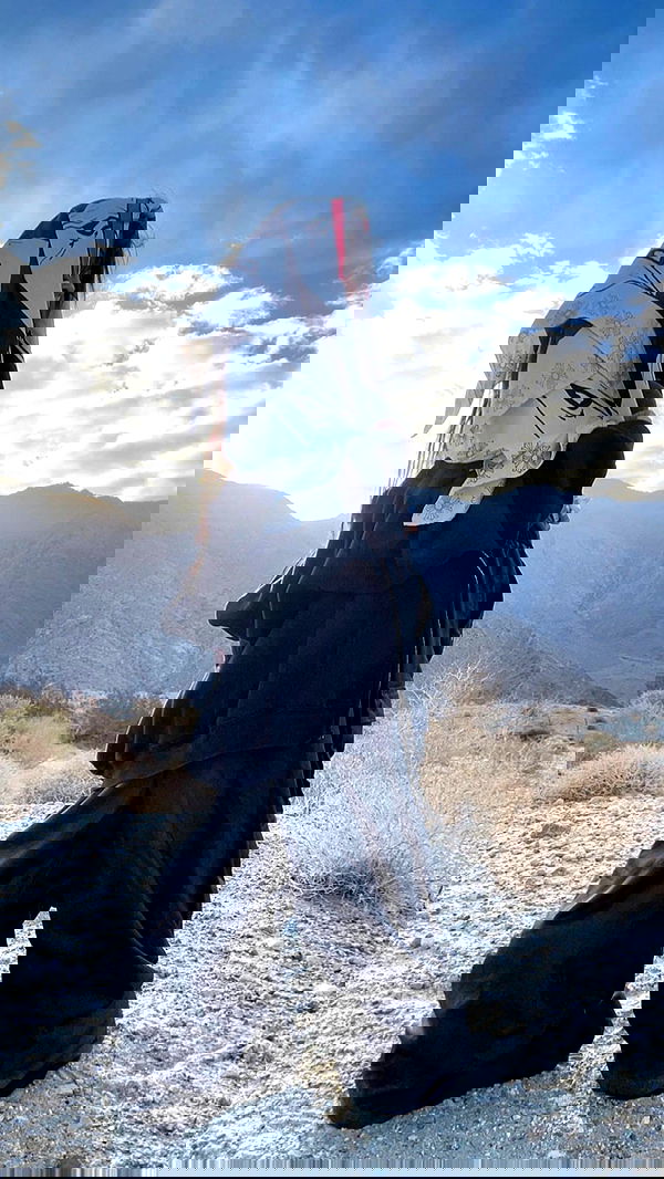 zommmbri image ~ Altpins