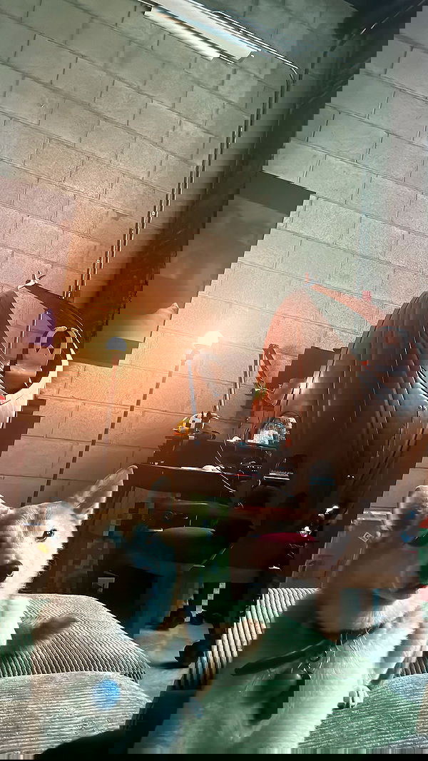 zommmbri image ~ Altpins