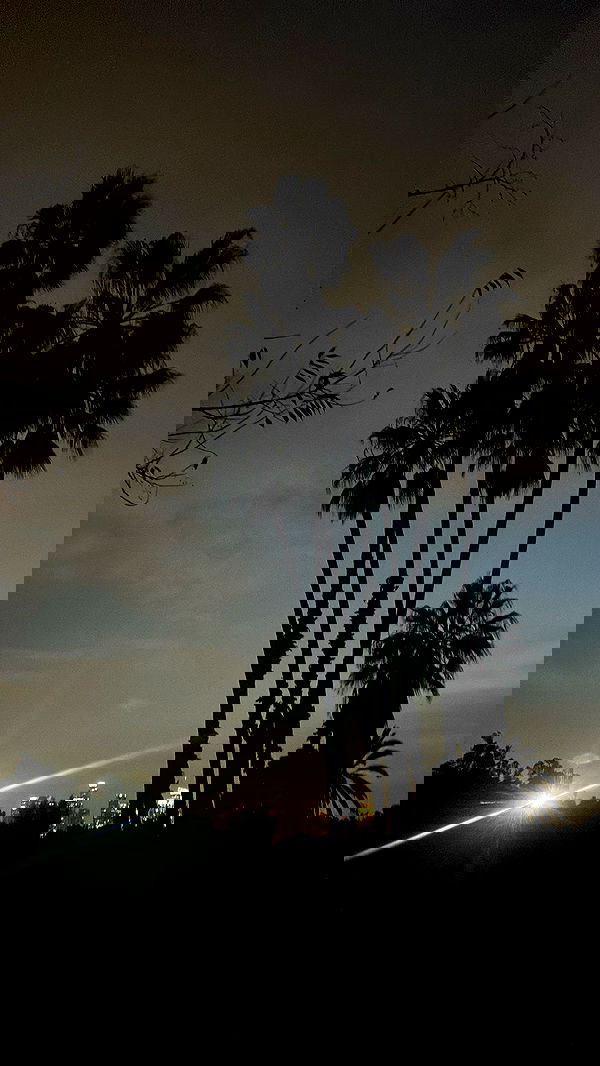 zommmbri image ~ Altpins