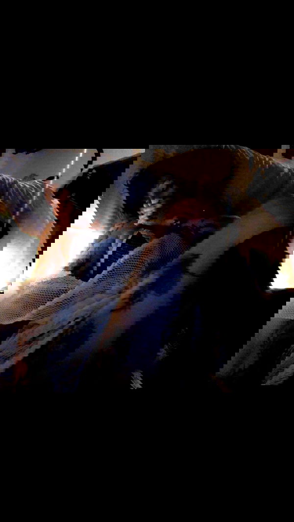 zommmbri image ~ Altpins