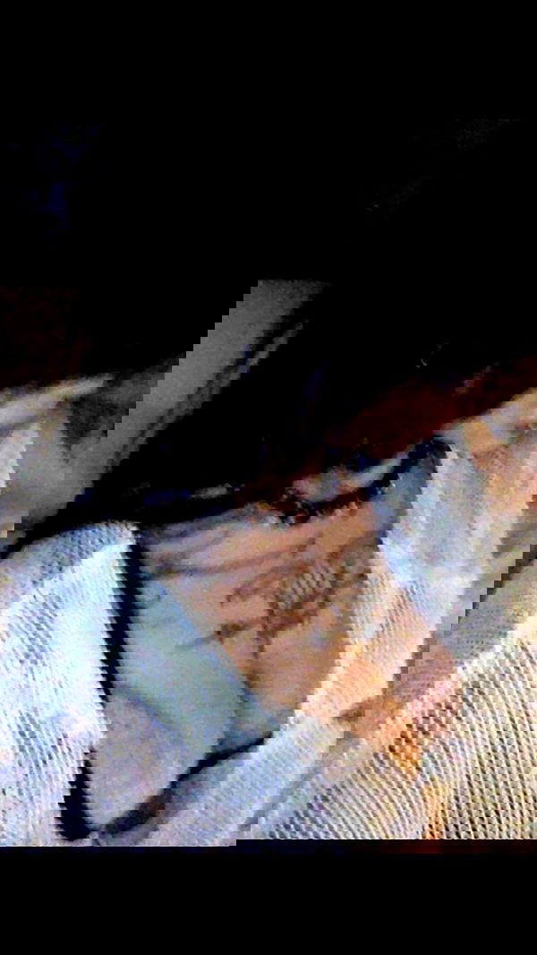 zommmbri image ~ Altpins