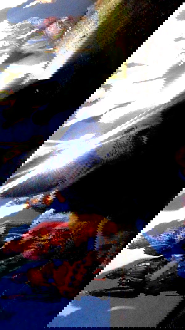 zommmbri image ~ Altpins