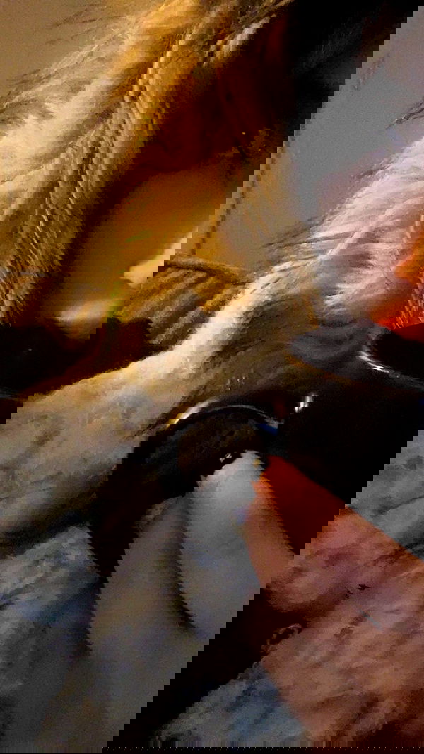 zommmbri image ~ Altpins