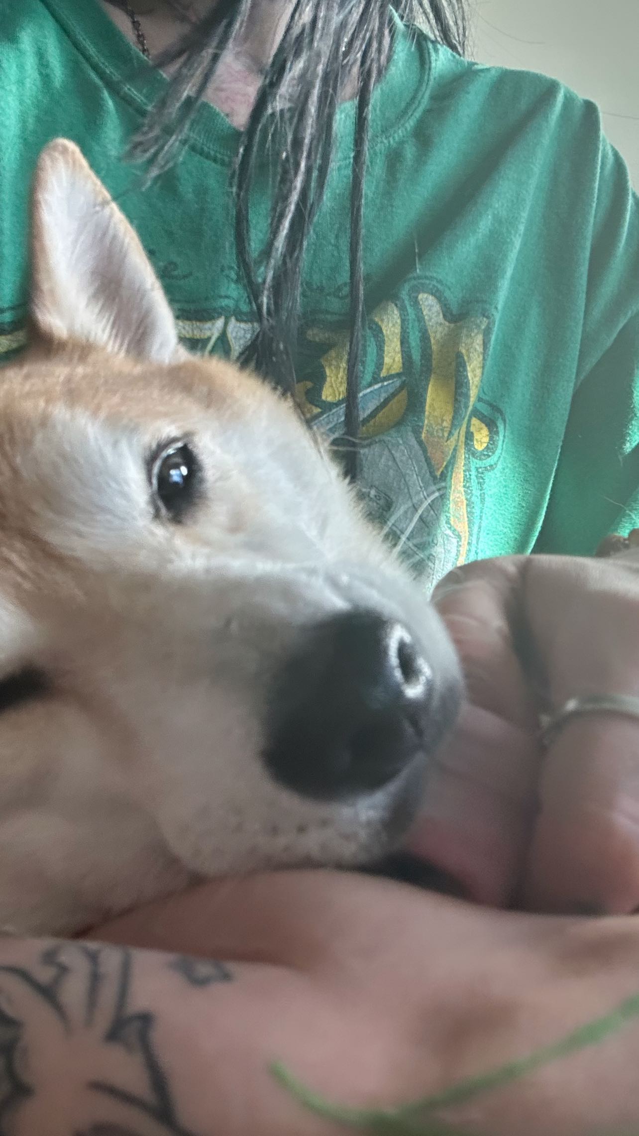 zommmbri instagram image archive image