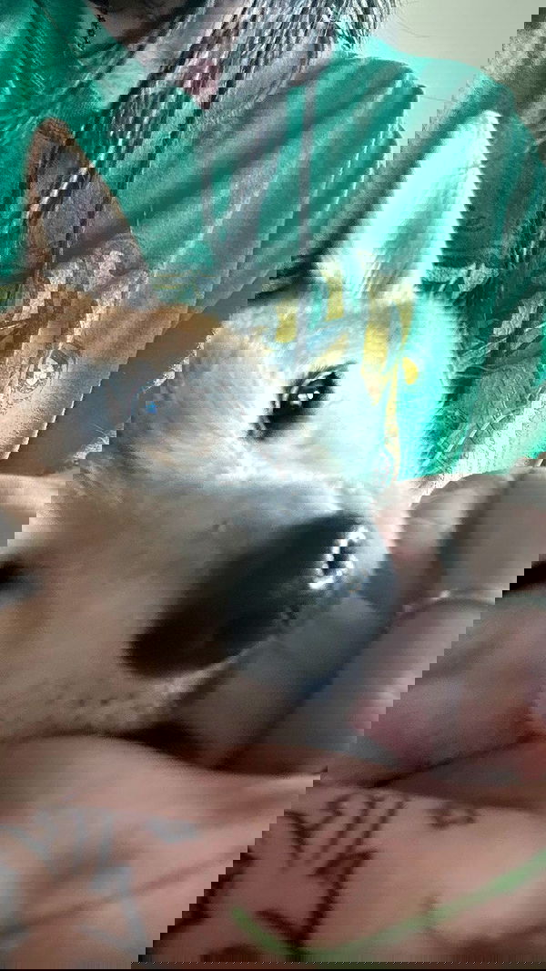 zommmbri image ~ Altpins