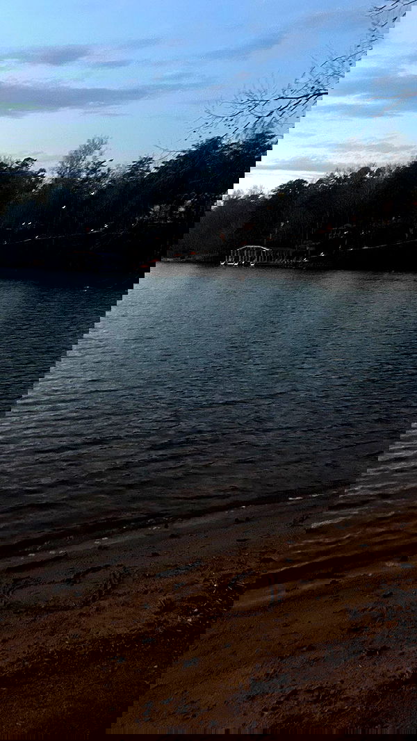 zommmbri image ~ Altpins