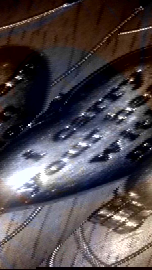 zommmbri image ~ Altpins