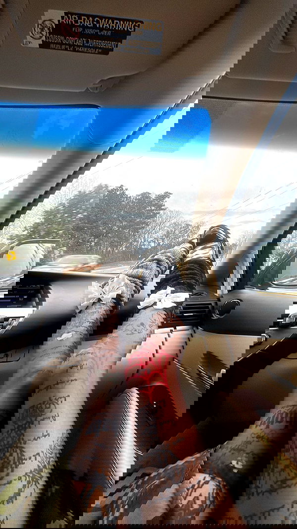 zommmbri image ~ Altpins