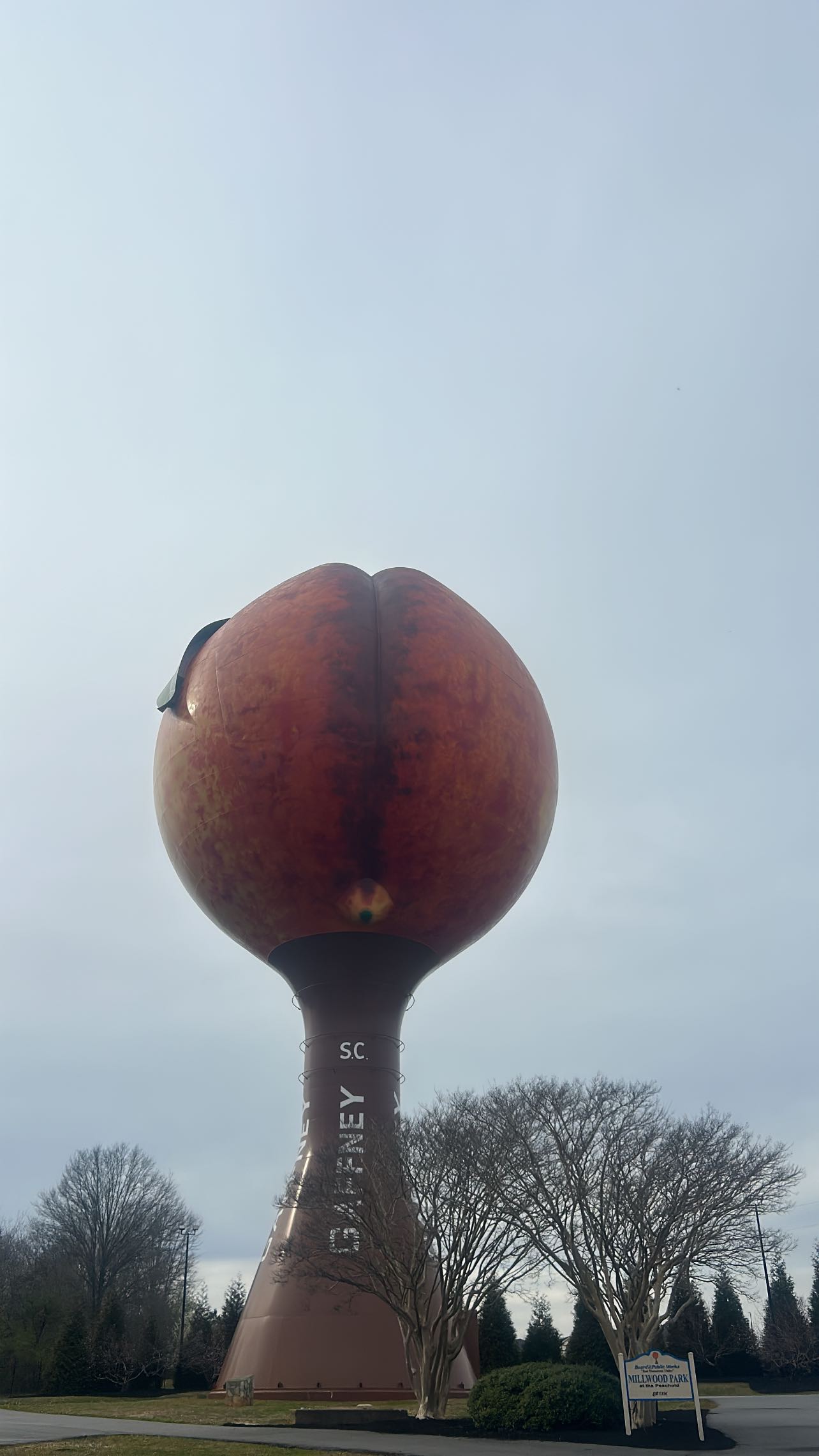 zommmbri instagram image archive image