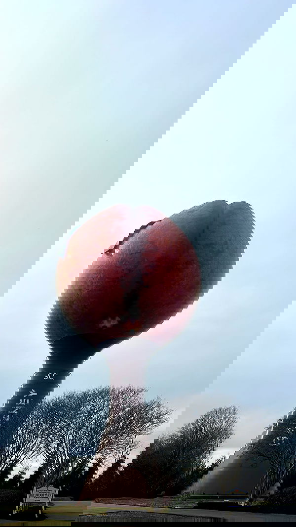 zommmbri image ~ Altpins