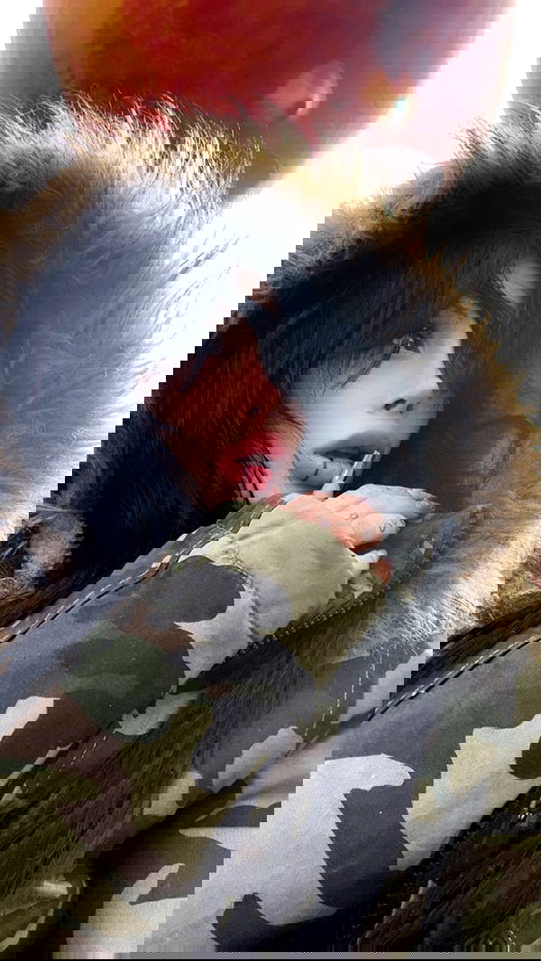 zommmbri image ~ Altpins