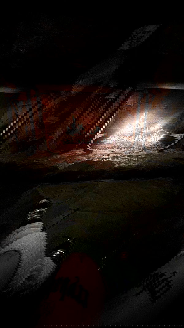 zommmbri image ~ Altpins