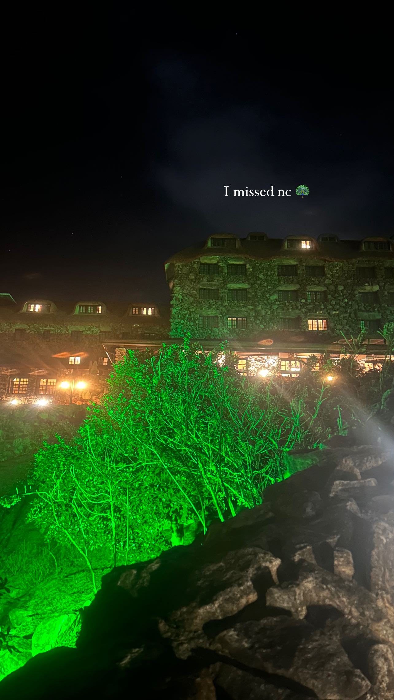 zommmbri instagram image archive image