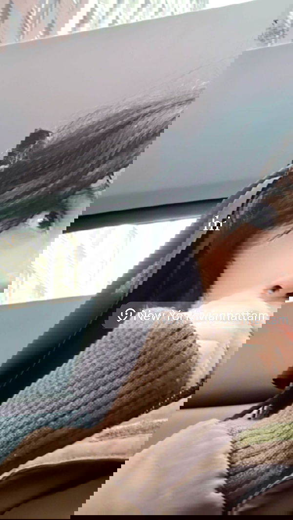 zommmbri image ~ Altpins