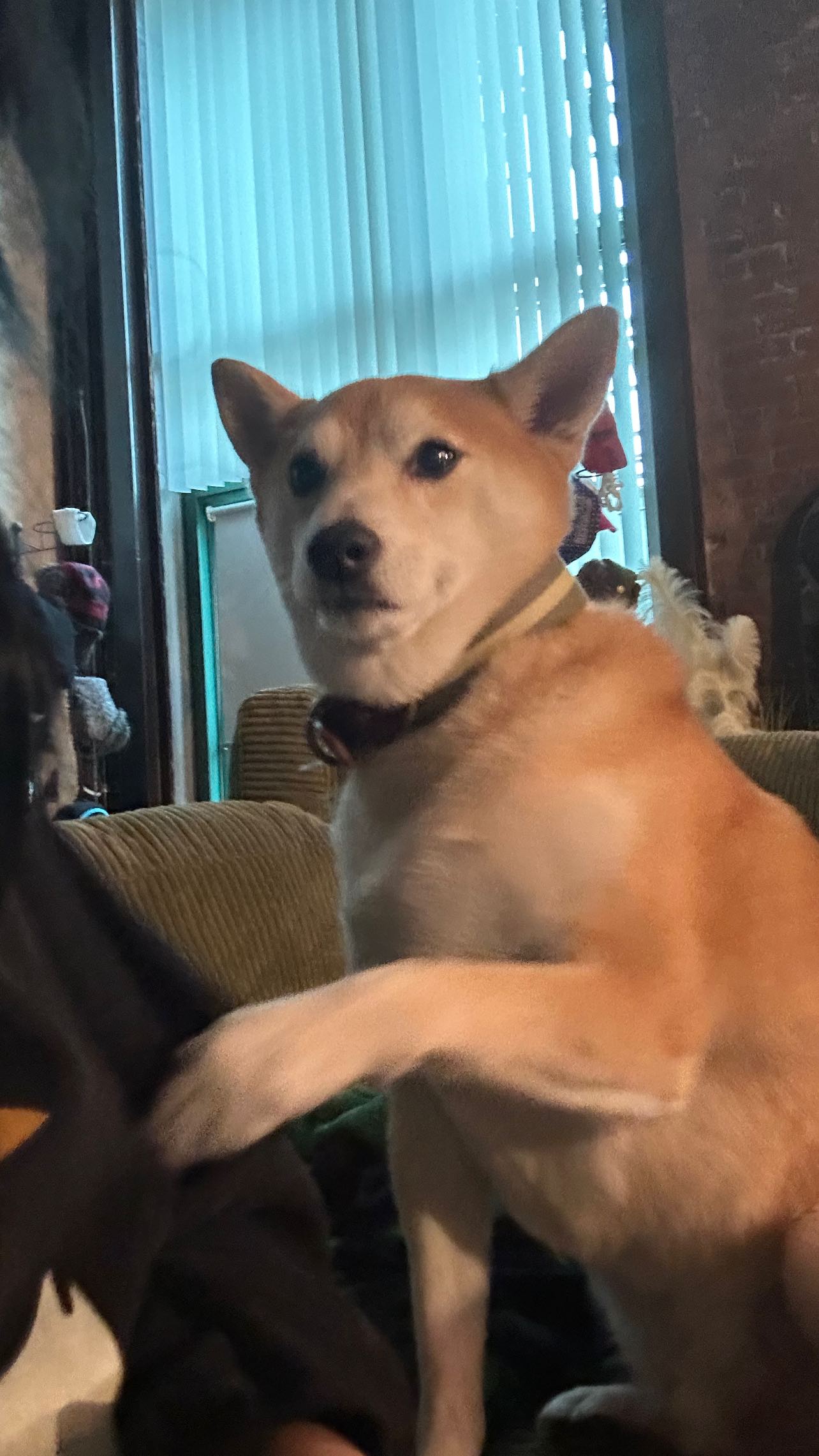 zommmbri instagram image archive image