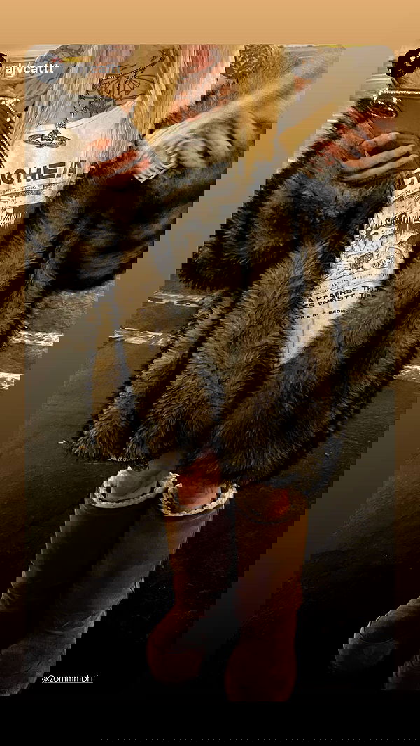 zommmbri image ~ Altpins