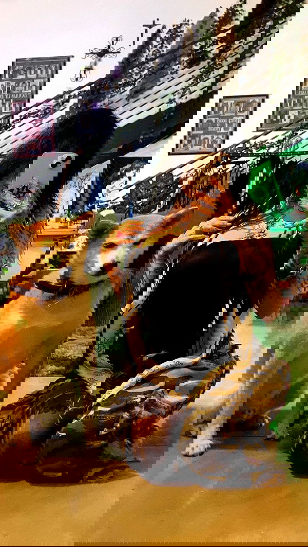 zommmbri image ~ Altpins