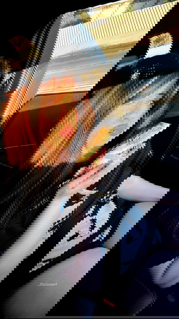 zommmbri image ~ Altpins