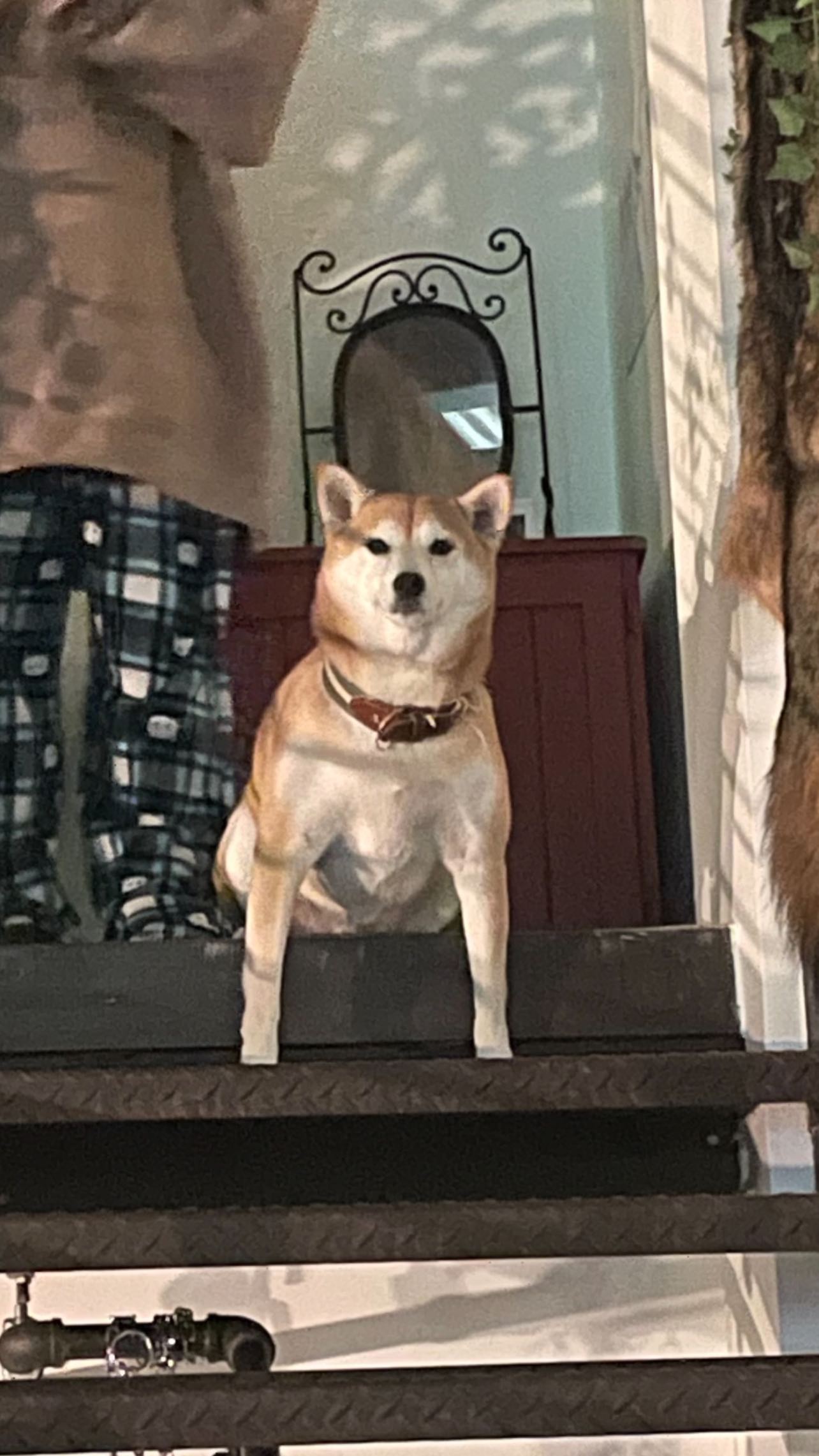 zommmbri instagram image archive image