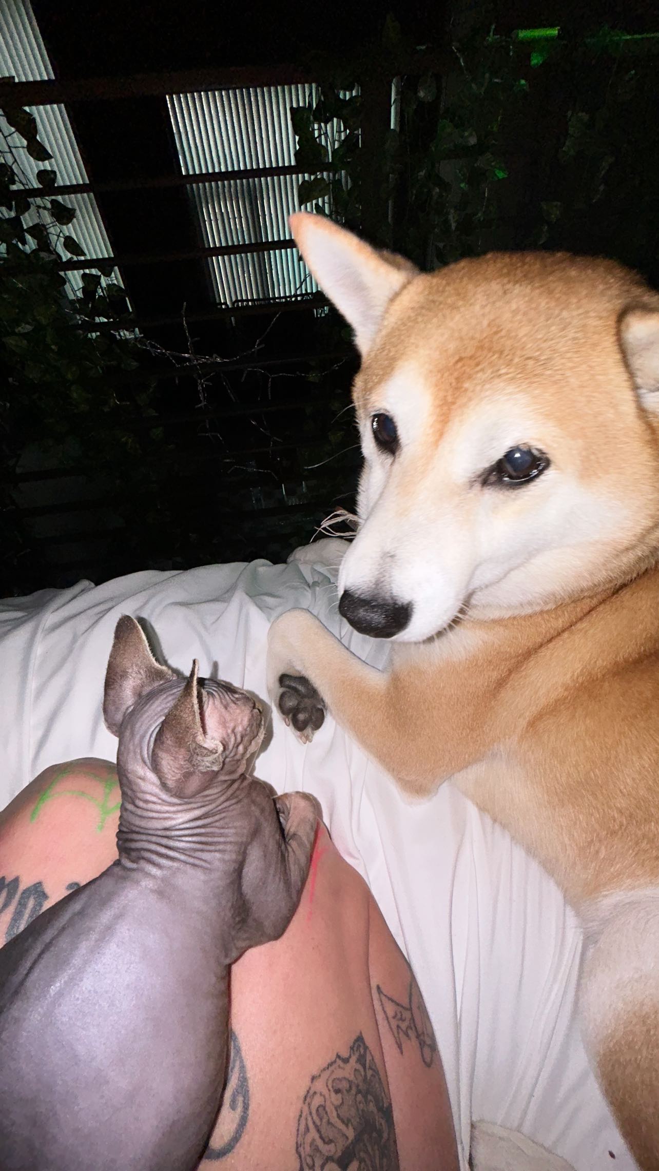 zommmbri instagram image archive image