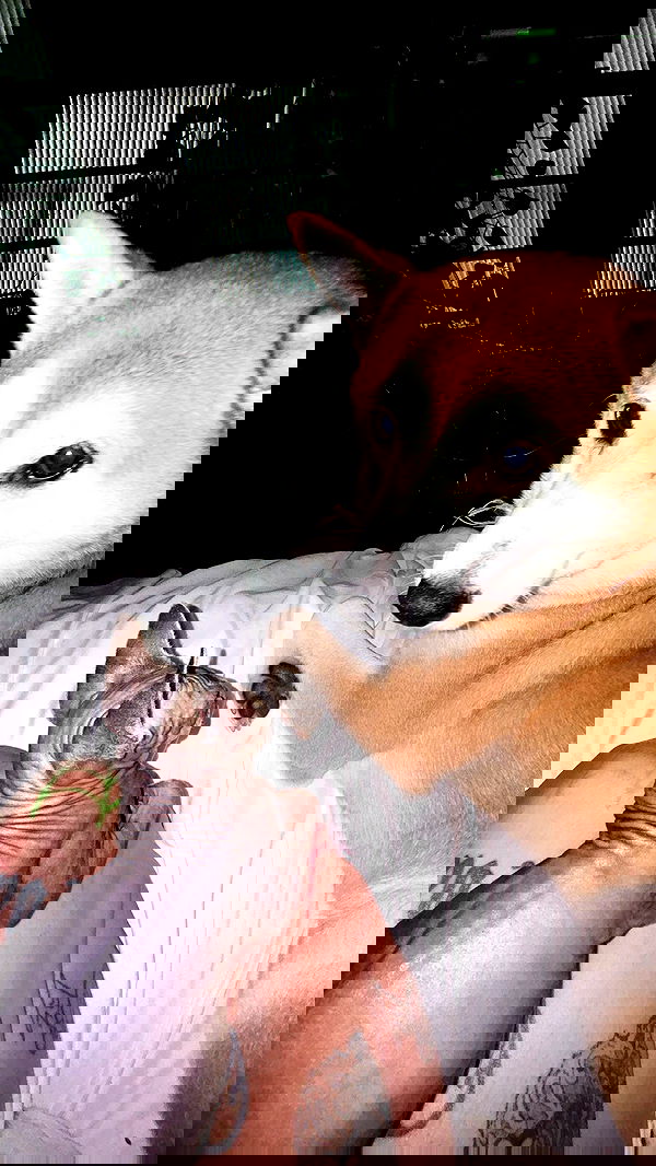 zommmbri image ~ Altpins