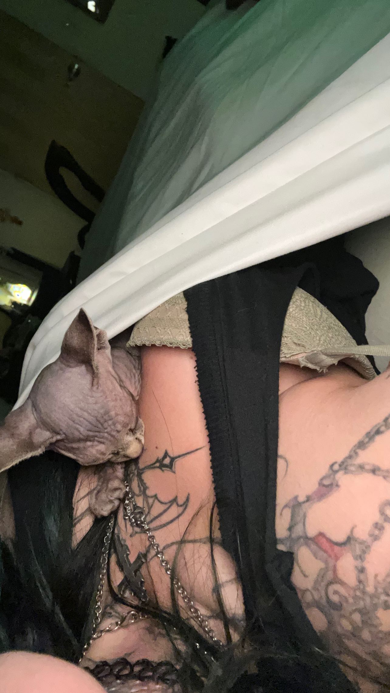 zommmbri instagram image archive image