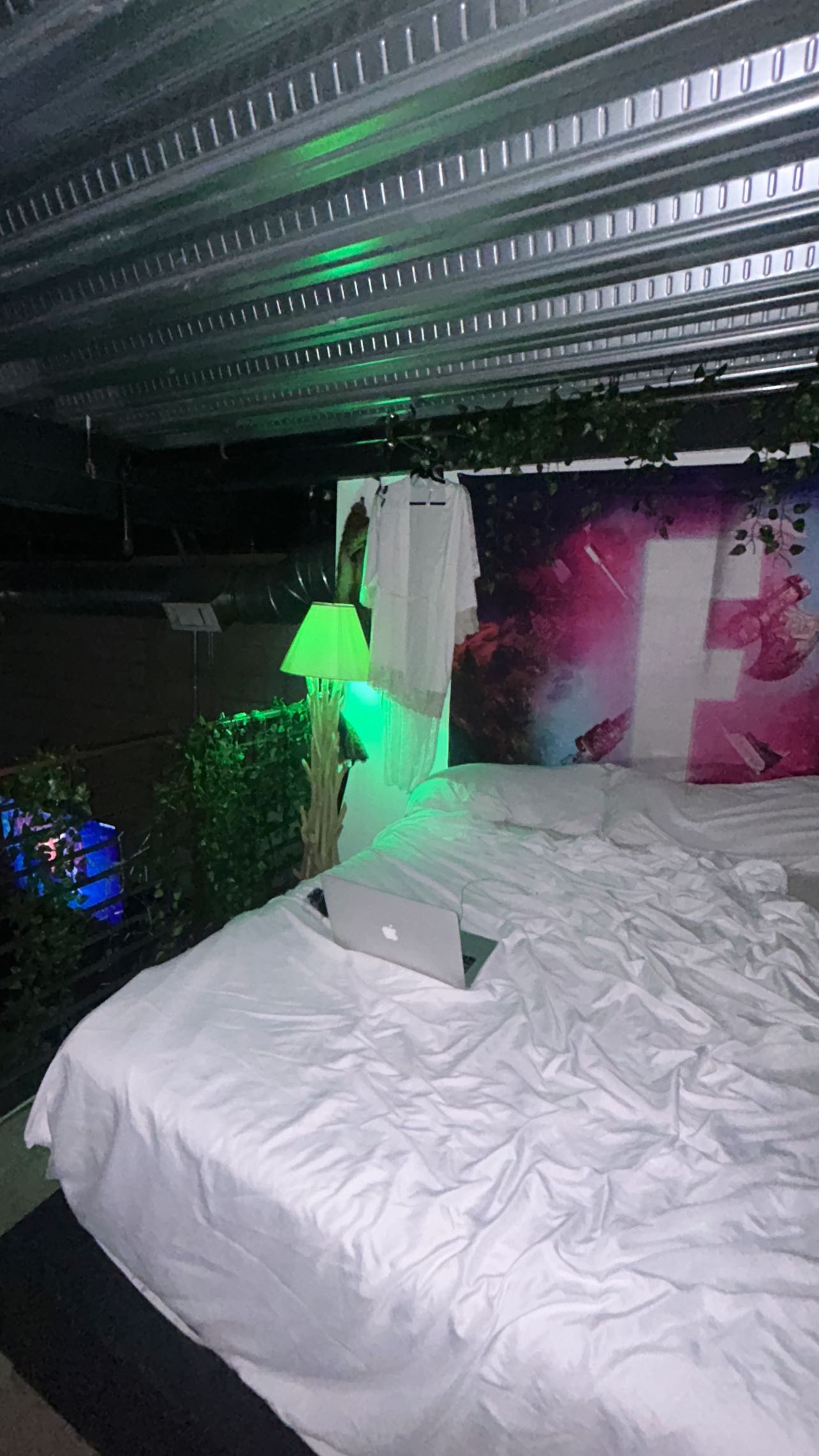 zommmbri instagram image archive image