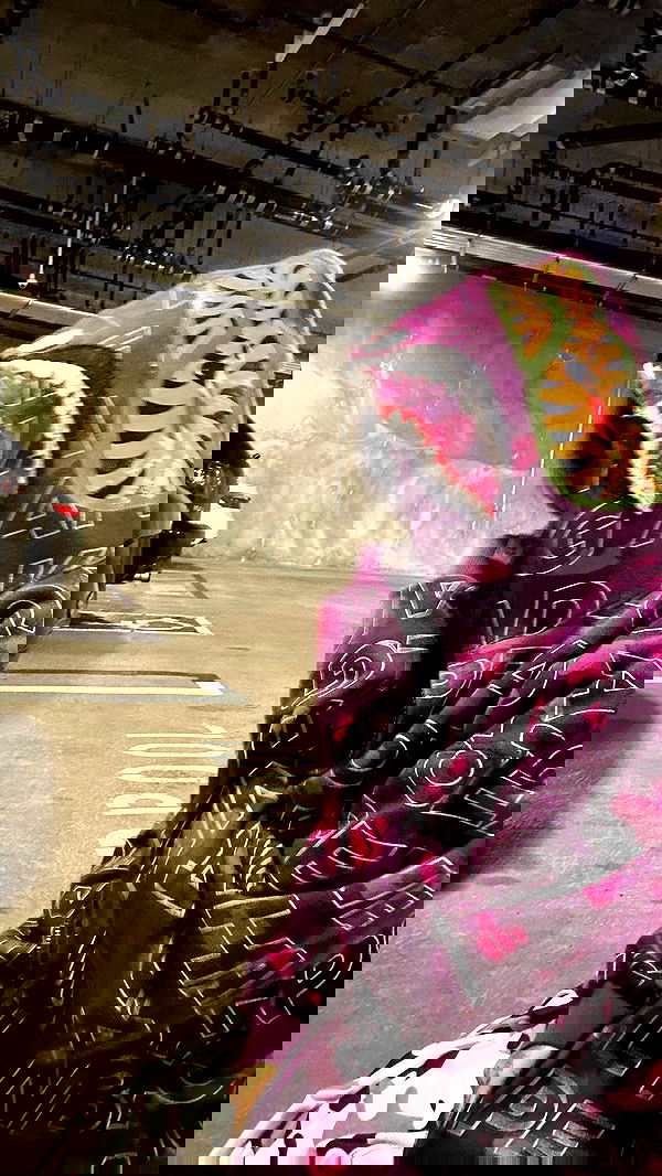 zommmbri image ~ Altpins