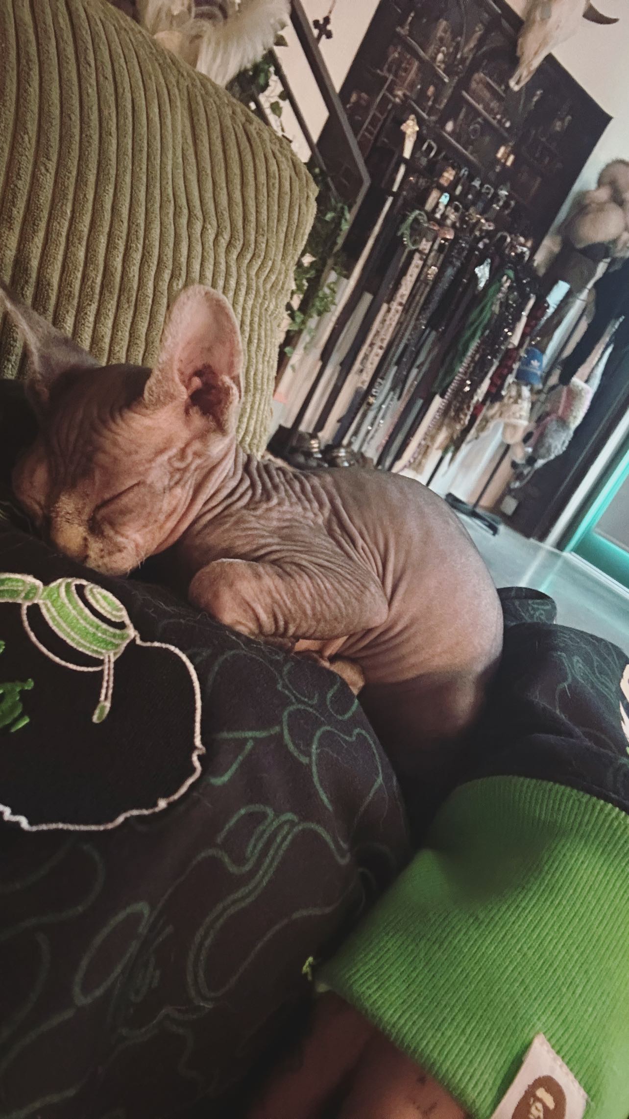 zommmbri instagram image archive image