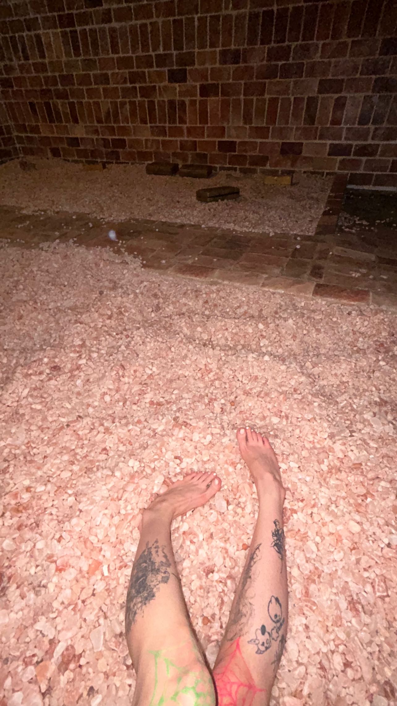 zommmbri instagram image archive image