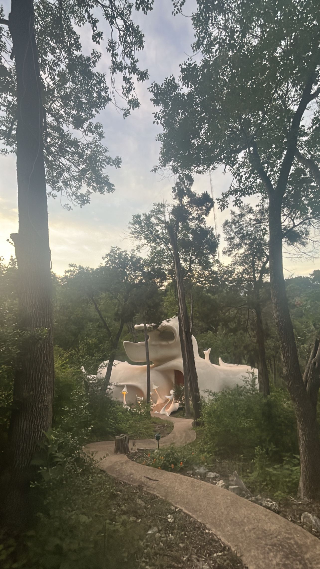 zommmbri instagram image archive image