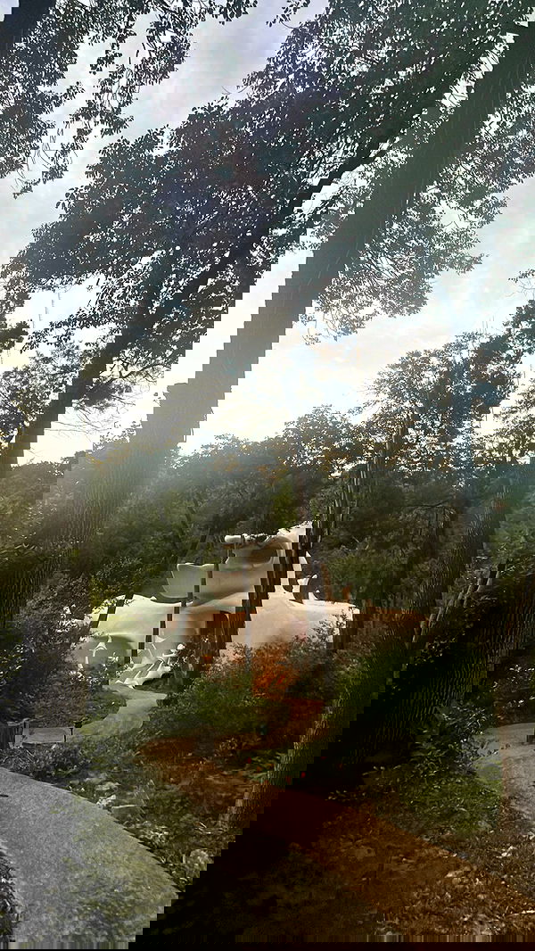 zommmbri image ~ Altpins