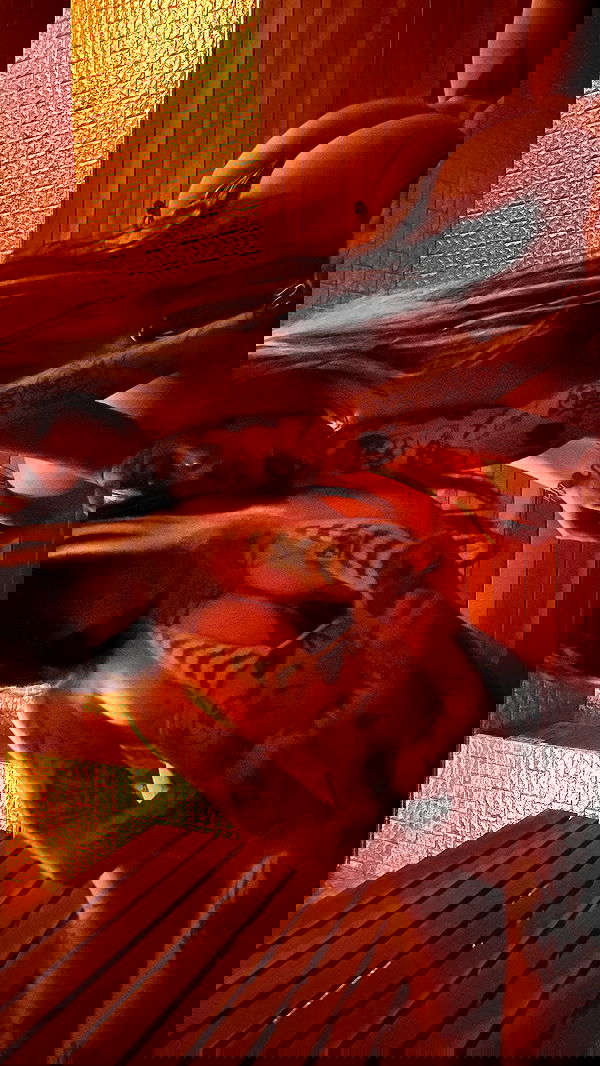 zommmbri image ~ Altpins