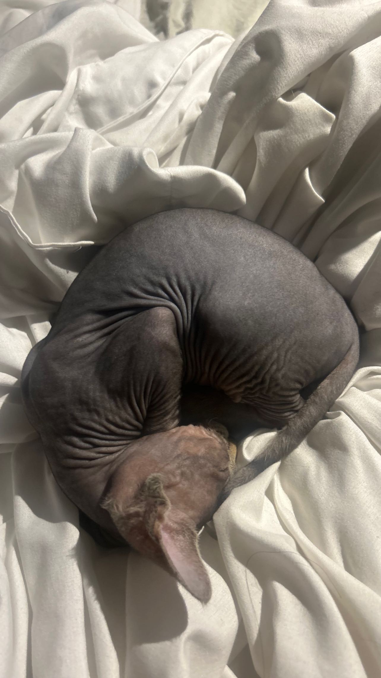 zommmbri instagram image archive image