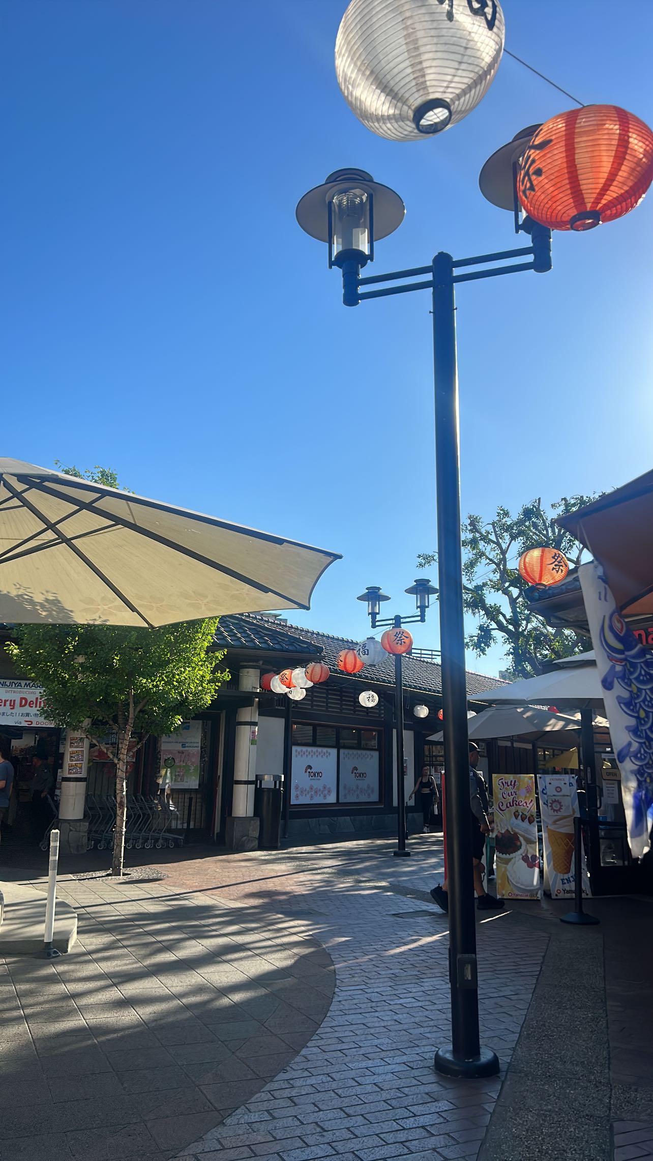 zommmbri instagram image archive image