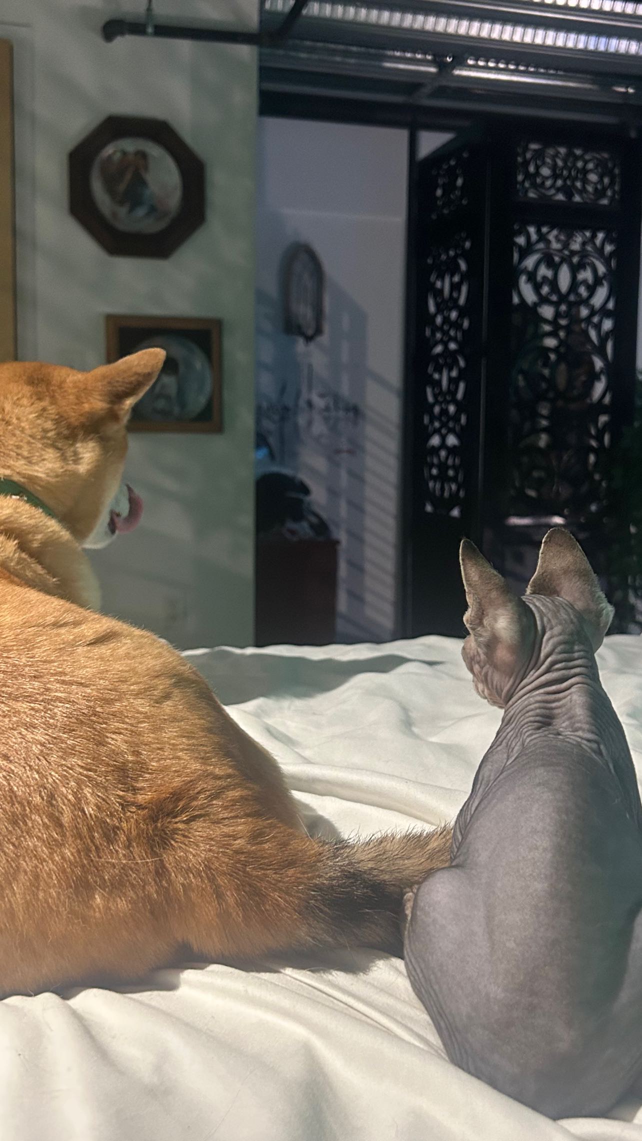 zommmbri instagram image archive image