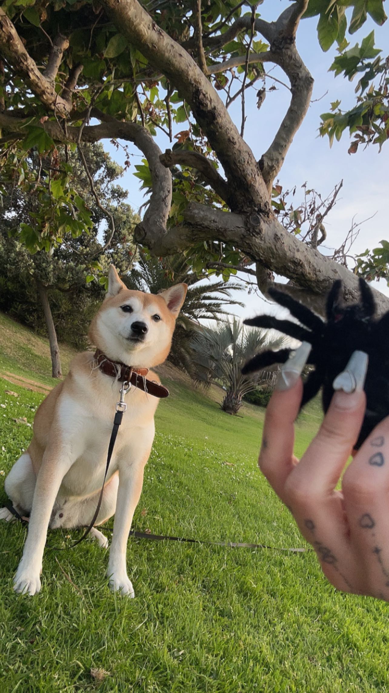 zommmbri instagram image archive image