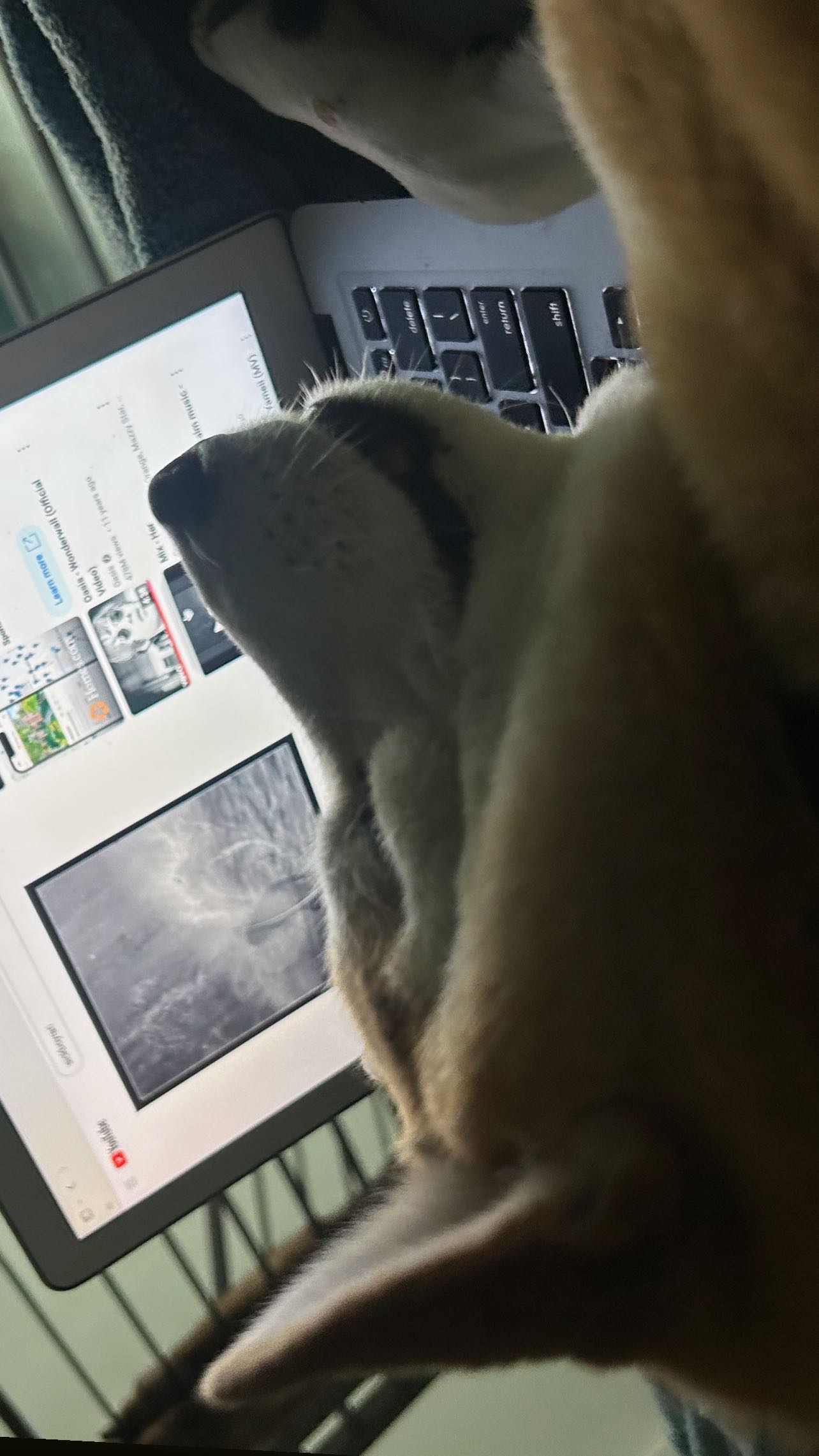 zommmbri instagram image archive image