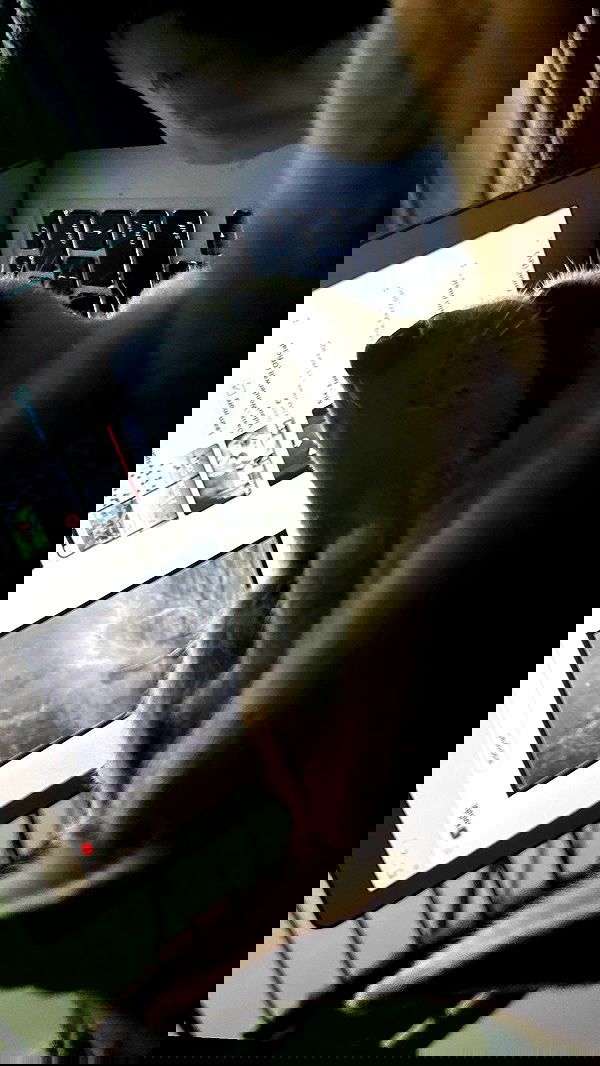 zommmbri image ~ Altpins