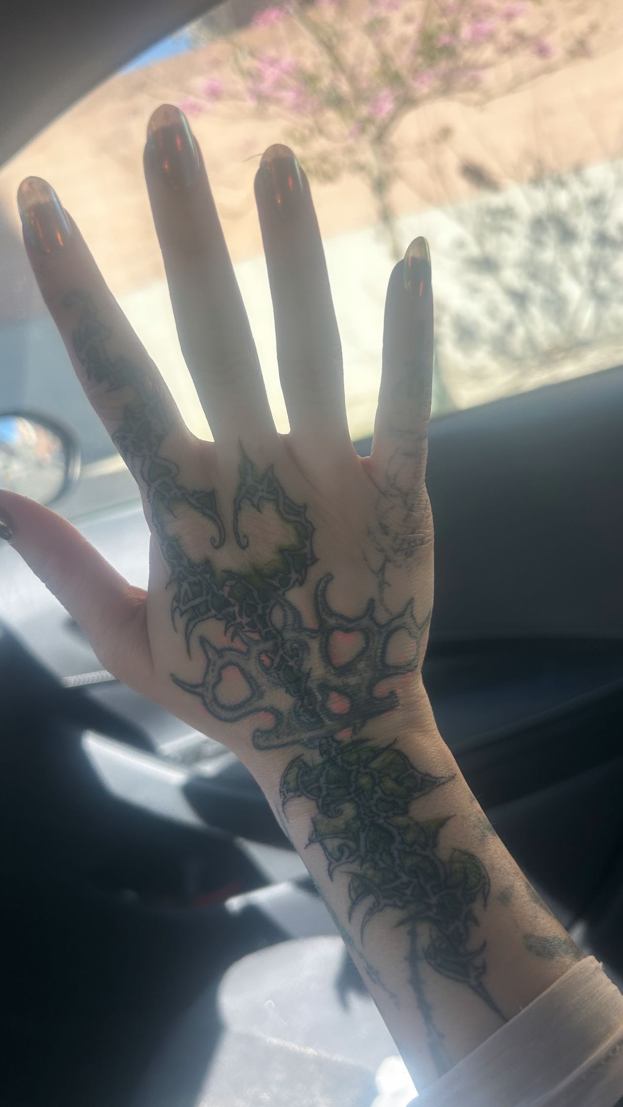 zommmbri instagram image archive image