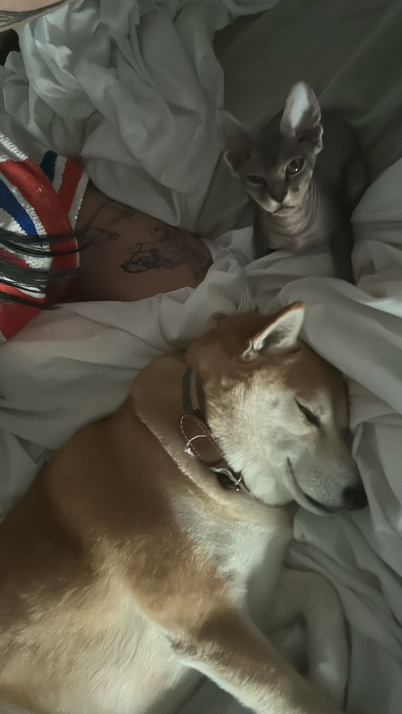 zommmbri instagram image archive image