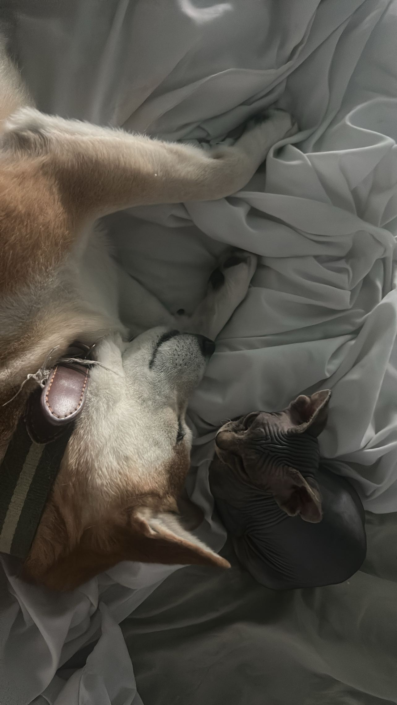 zommmbri instagram image archive image