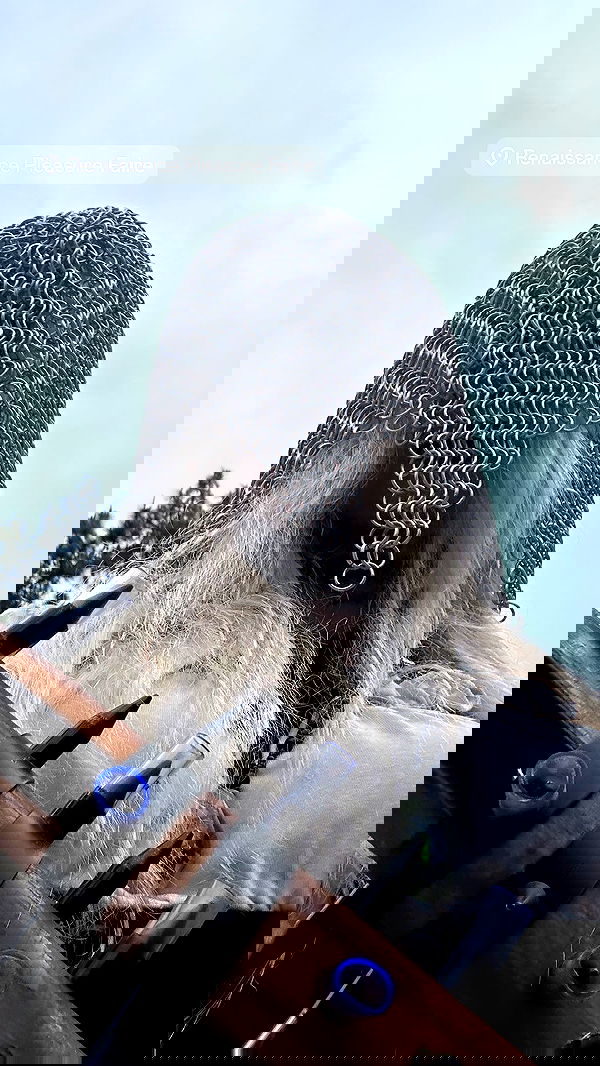 zommmbri image ~ Altpins