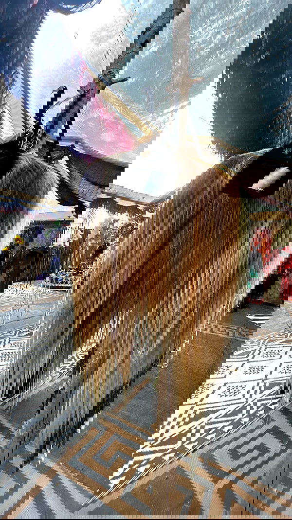 zommmbri image ~ Altpins