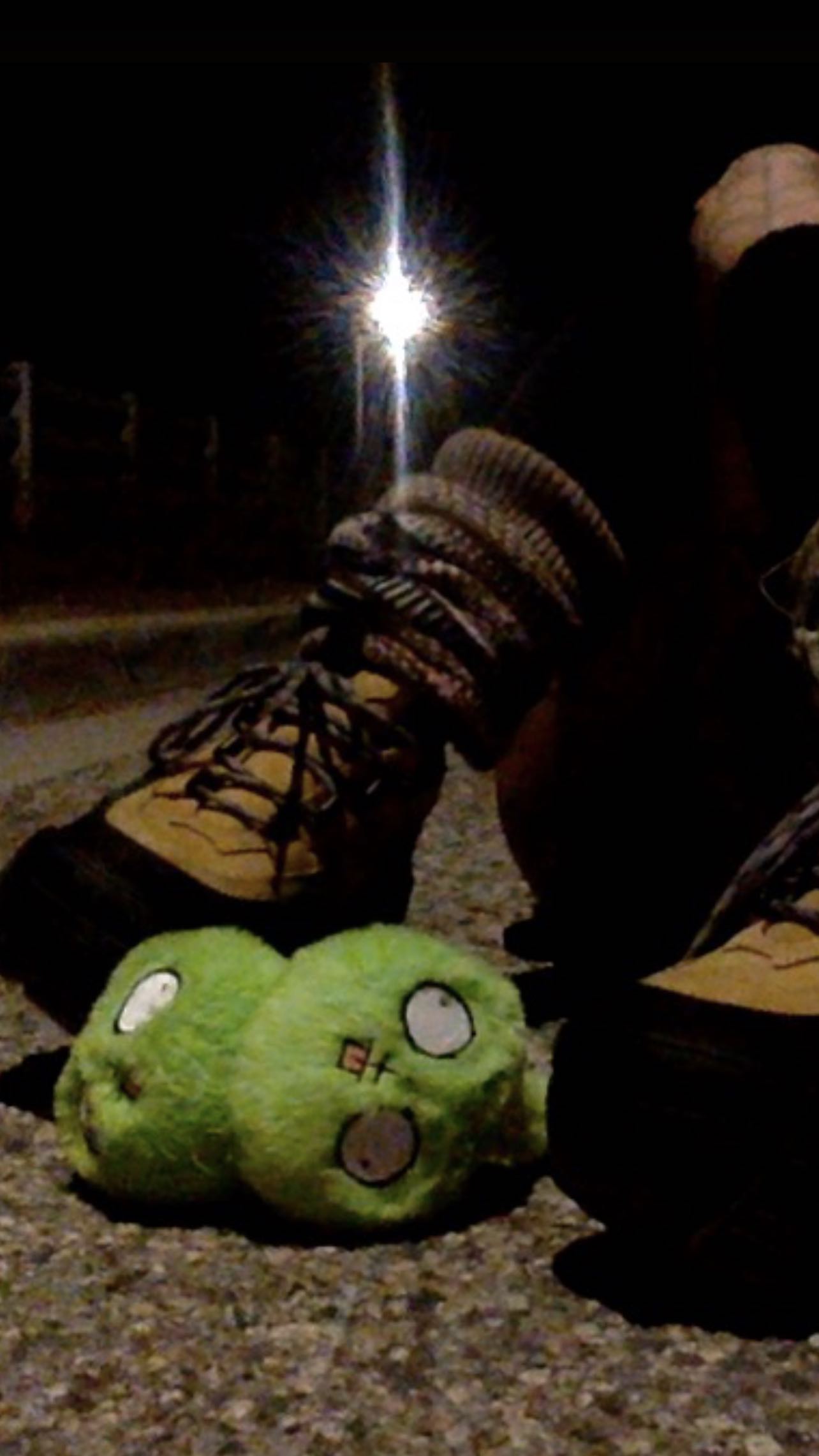 zommmbri instagram image archive image