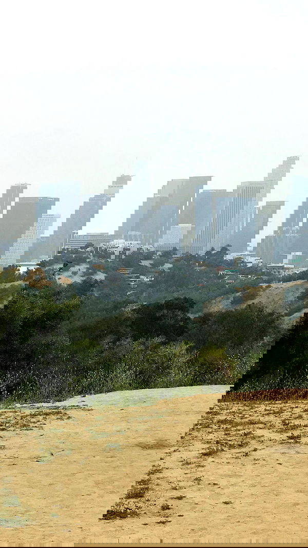 zommmbri image ~ Altpins