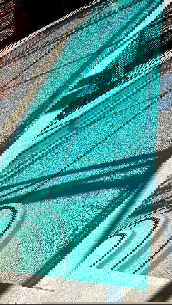 zommmbri image ~ Altpins